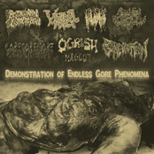 Demonstration of Endless Gore Phenomena