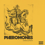 Evening Elephants: Pheromones