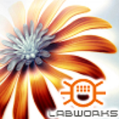 labworks