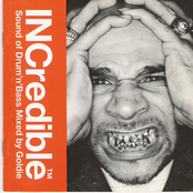 INCredible Sound Of Drum'n'Bass Mixed By Goldie
