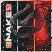 Snakes