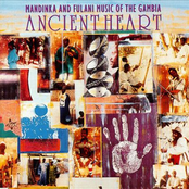 mandinka and fulani music of the gambia