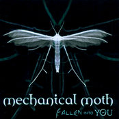 Herz Aus Stein by Mechanical Moth