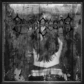 Volkermord - The Appearance