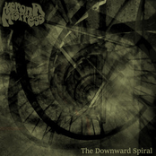 The Downward Spiral