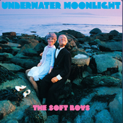 Underwater Moonlight (45th ANNIVERSARY REMASTER)