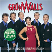 Du Ringde Från Flen - Grönwalls Bästa