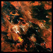 The Cabinet of Numinous Song LP/CD