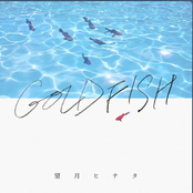 Goldfish