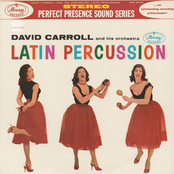 Latin Percussion