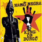 king of bongo