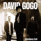 David Gogo: Vicksburg Call