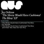 The Shrew Would Have Cushioned The Blow by Joy Orbison