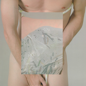 Rosehip, Scallop, Dancer LP