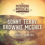Les Idoles Du Blues: Sonny Terry Et Brownie McGhee, Vol. 1