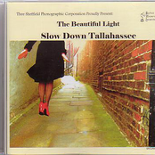 The Prettiest Tree by Slow Down Tallahassee