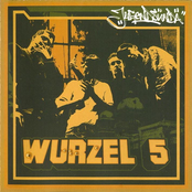 Spitze Vom Bärg by Wurzel 5