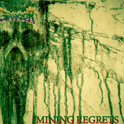 Mining Regrets