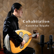 Cohabitation