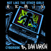 Not Like The Other Girls (Dan Larkin Remix)