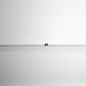 Before It Is Too Late