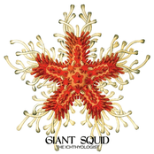 Sutterville (vibrio Cholerae) by Giant Squid