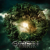 Permanence by Origin