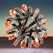 Chris Avantgarde: Perception