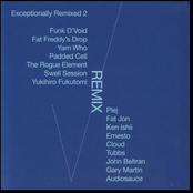 Exceptionally Remixed 2
