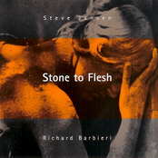 Stone To Flesh
