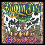 Diggin' Dirt: Funkacillus Groovidophilus