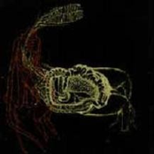 Split W/ Beneath Low Flying Planes