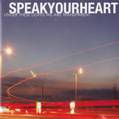 Under These Lights We Are Transparents