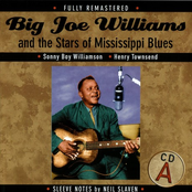 Break 'em On Down by Big Joe Williams