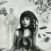 Heart Chamber Phantoms