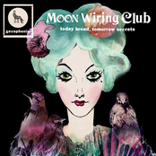 Welcome To Bird Parallel by Moon Wiring Club