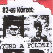 82-es körzet