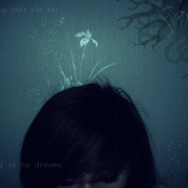 I woke up near the sea, sailing in my dreams