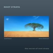 Root Strata