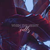 When the Night Falls