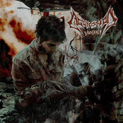 Viocracy by Aggression