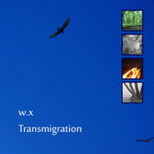 Transmigration