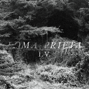 Biography by Loma Prieta