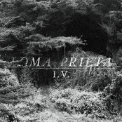 Reproductive by Loma Prieta