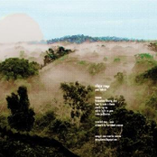 Pink Hybrid (Winged Sun 2009)