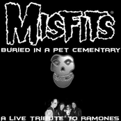 I Just Wanna Have Something To Do by Misfits