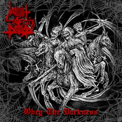 Obey the Darkness