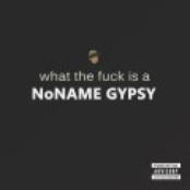 What the Fuck is a NoName Gypsy?