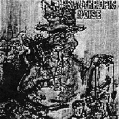 Lt. Dan / Misanthropic Noise