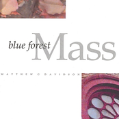 Blue Forest Mass